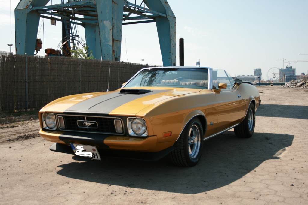 Mustang 73