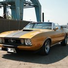 Mustang 73