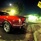 Mustang