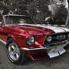 Mustang