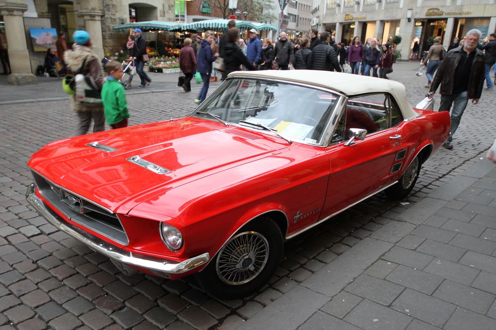 Mustang