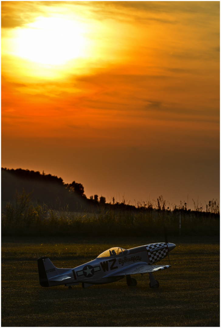 Mustang am Abend