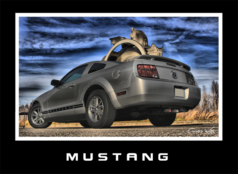 *Mustang*