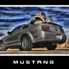 *Mustang*