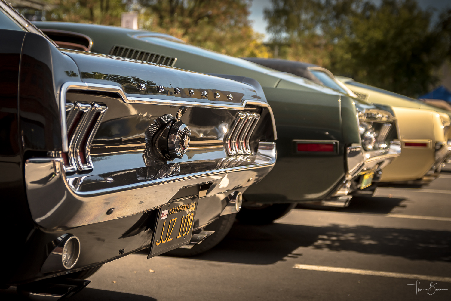 Mustang Backsides