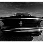 Mustang Black & White