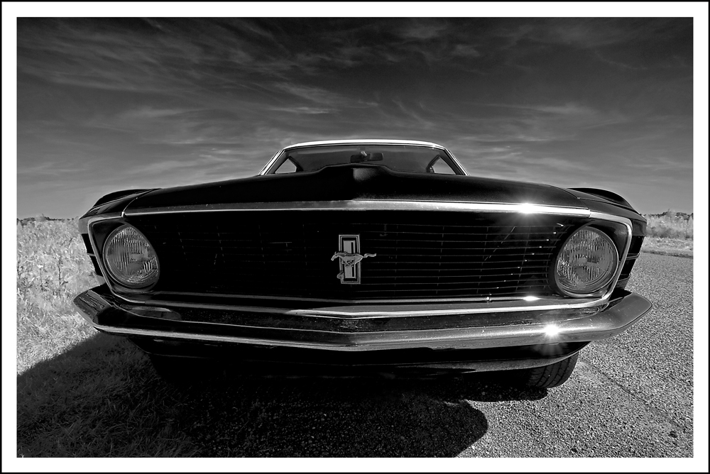 Mustang Black & White