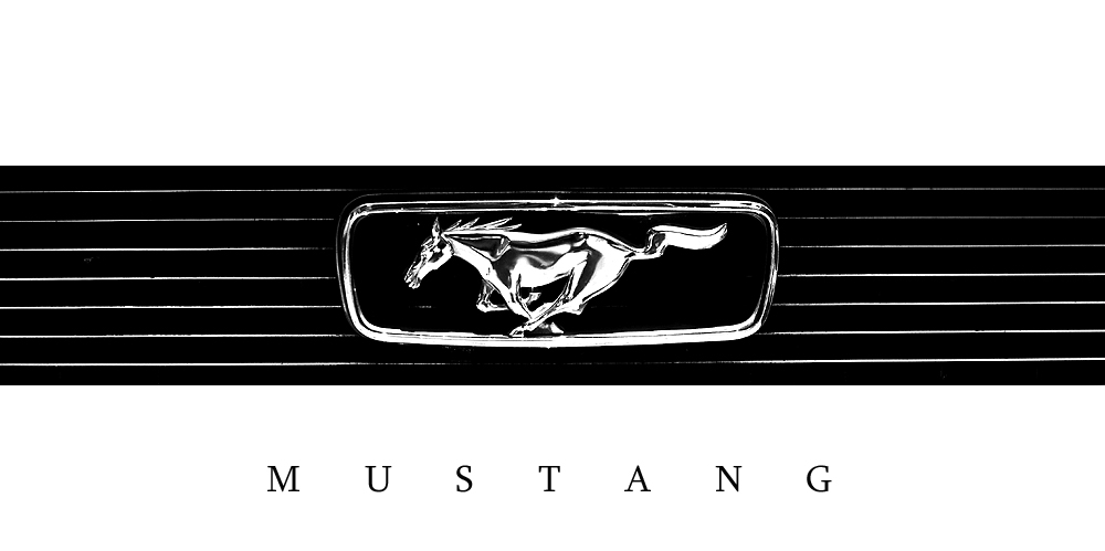 *Mustang*