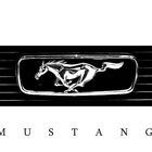 *Mustang*