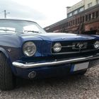 Mustang