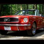 Mustang Convertible 1966