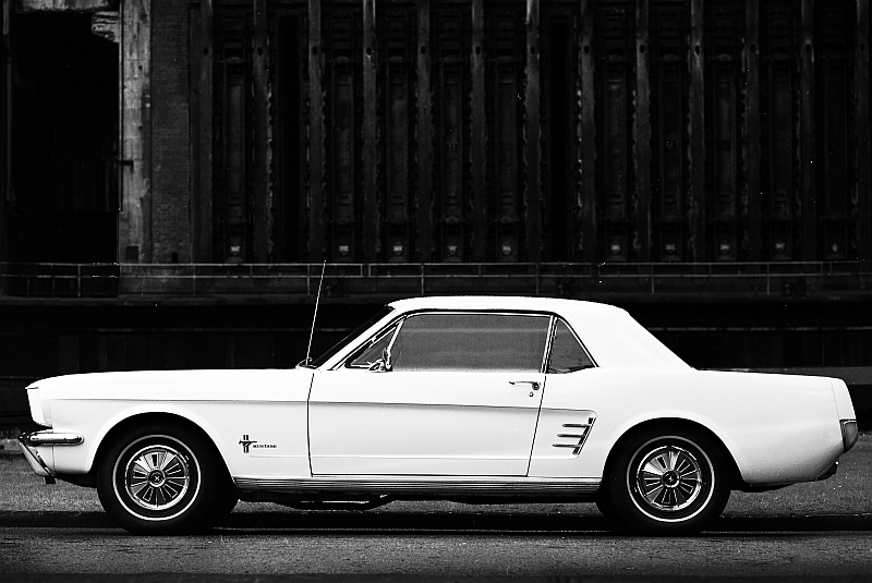 Mustang Coupe