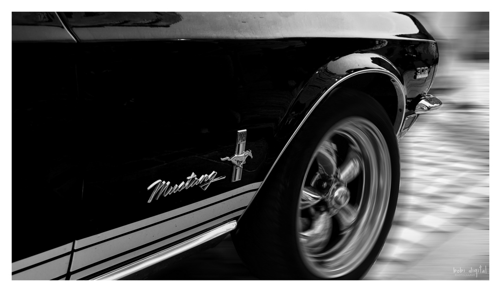 ..:: mustang ::..