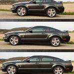 MUSTANG EVOLUTION