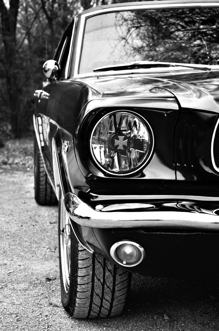 Mustang