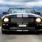 Mustang Fotostrecke...