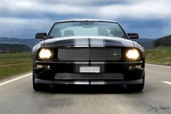 Mustang Fotostrecke...