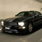 Mustang Fotostrecke...