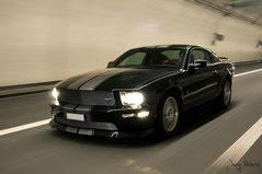 Mustang Fotostrecke...