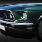 Mustang front