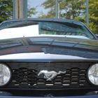 Mustang Front