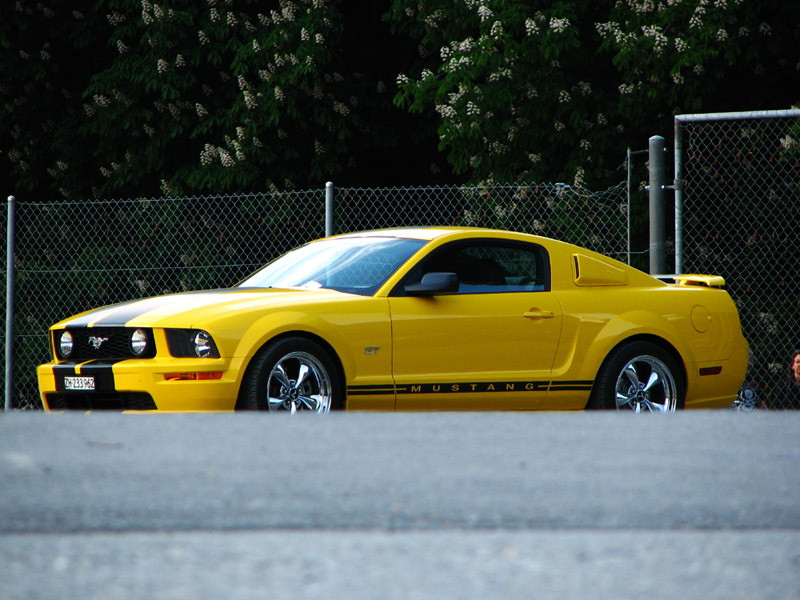 Mustang GT