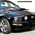 Mustang GT