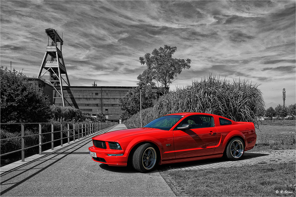 Mustang GT in CK