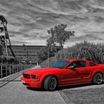 Mustang GT in CK