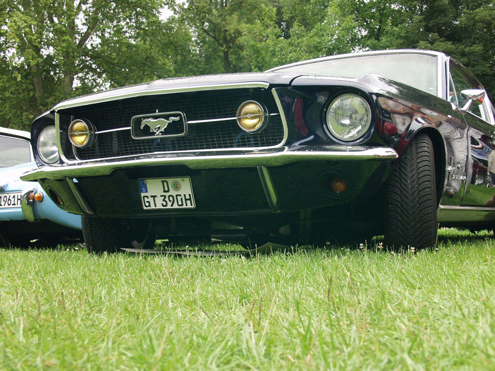 Mustang GT vorne