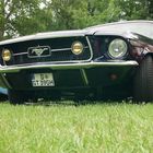 Mustang GT vorne