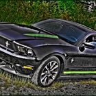 Mustang GT/CS 2011
