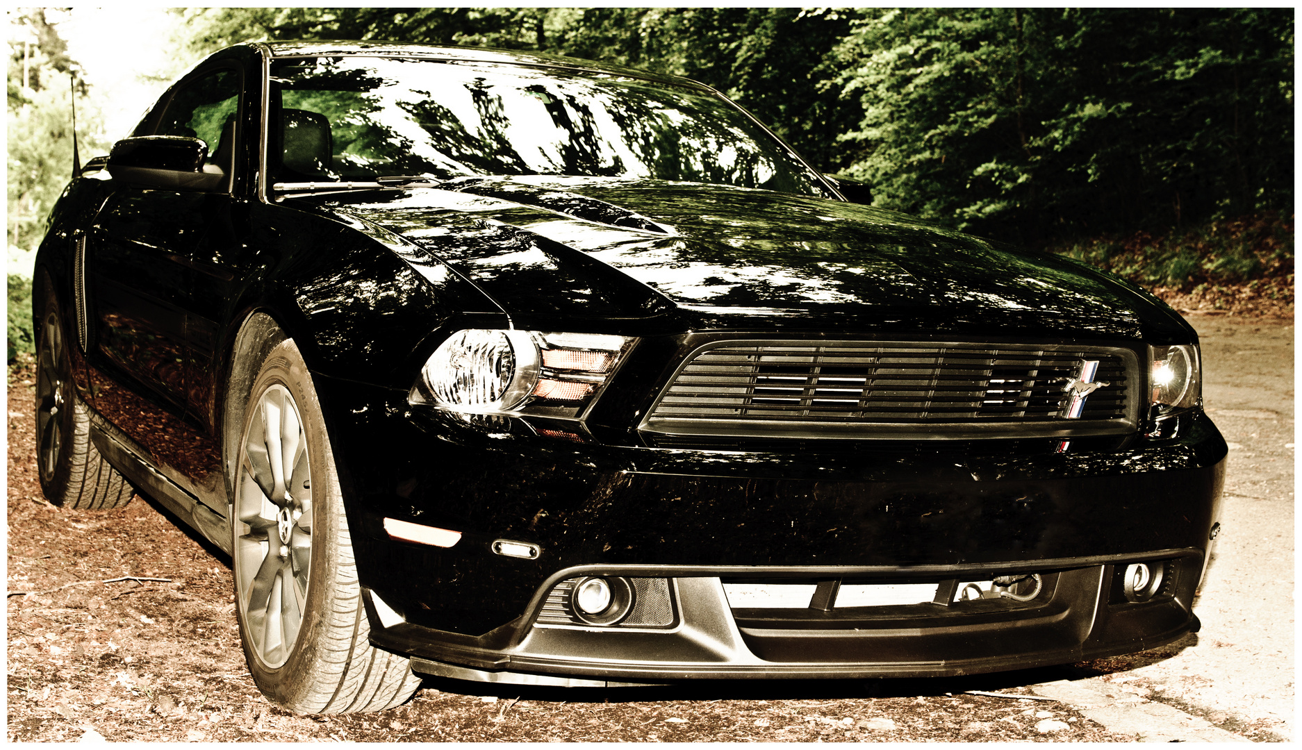 Mustang GT/CS 2011