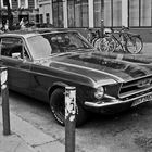 Mustang-Hamburg