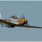 Mustang im Anflug