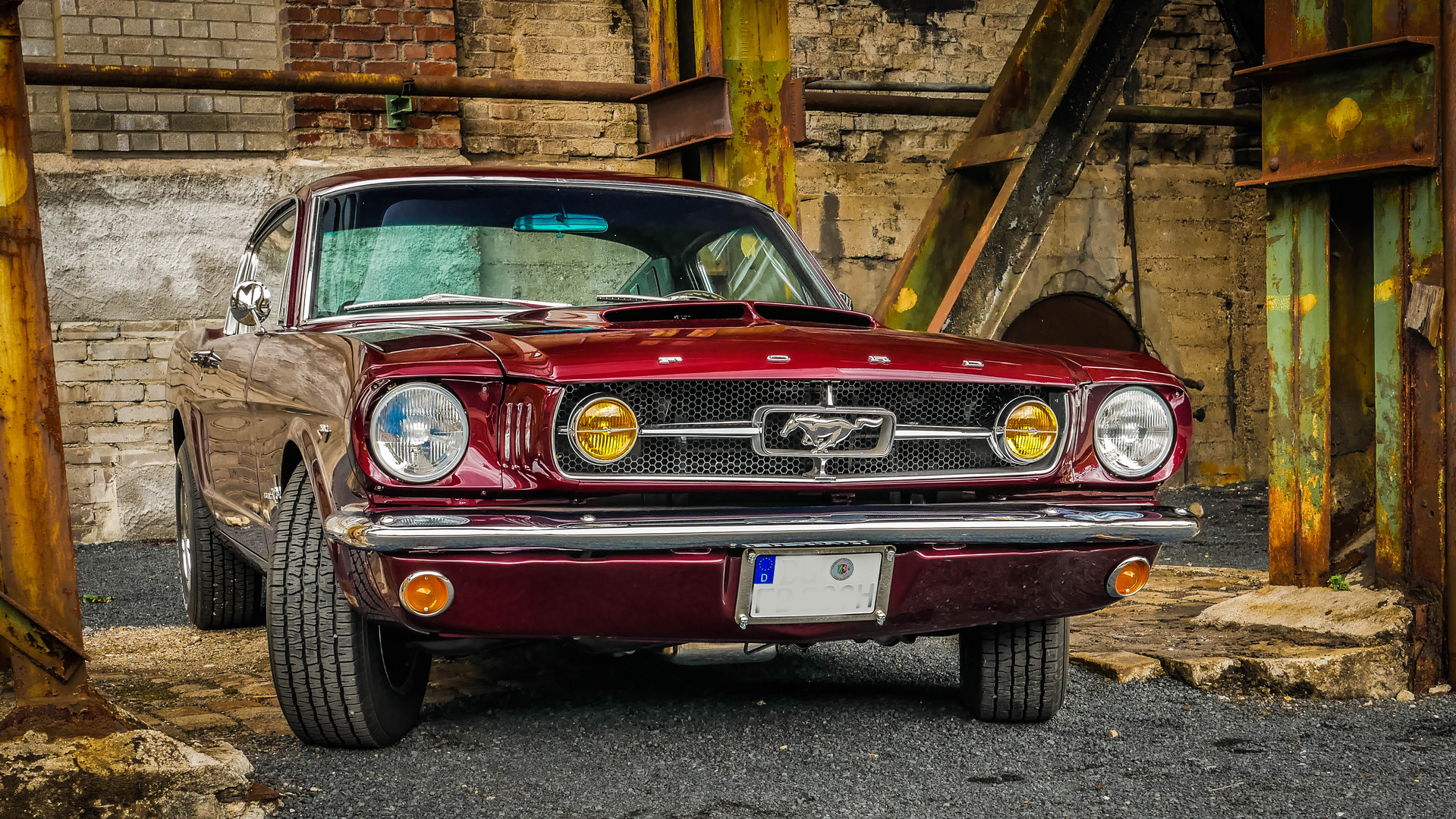 Mustang in alten Ruinen