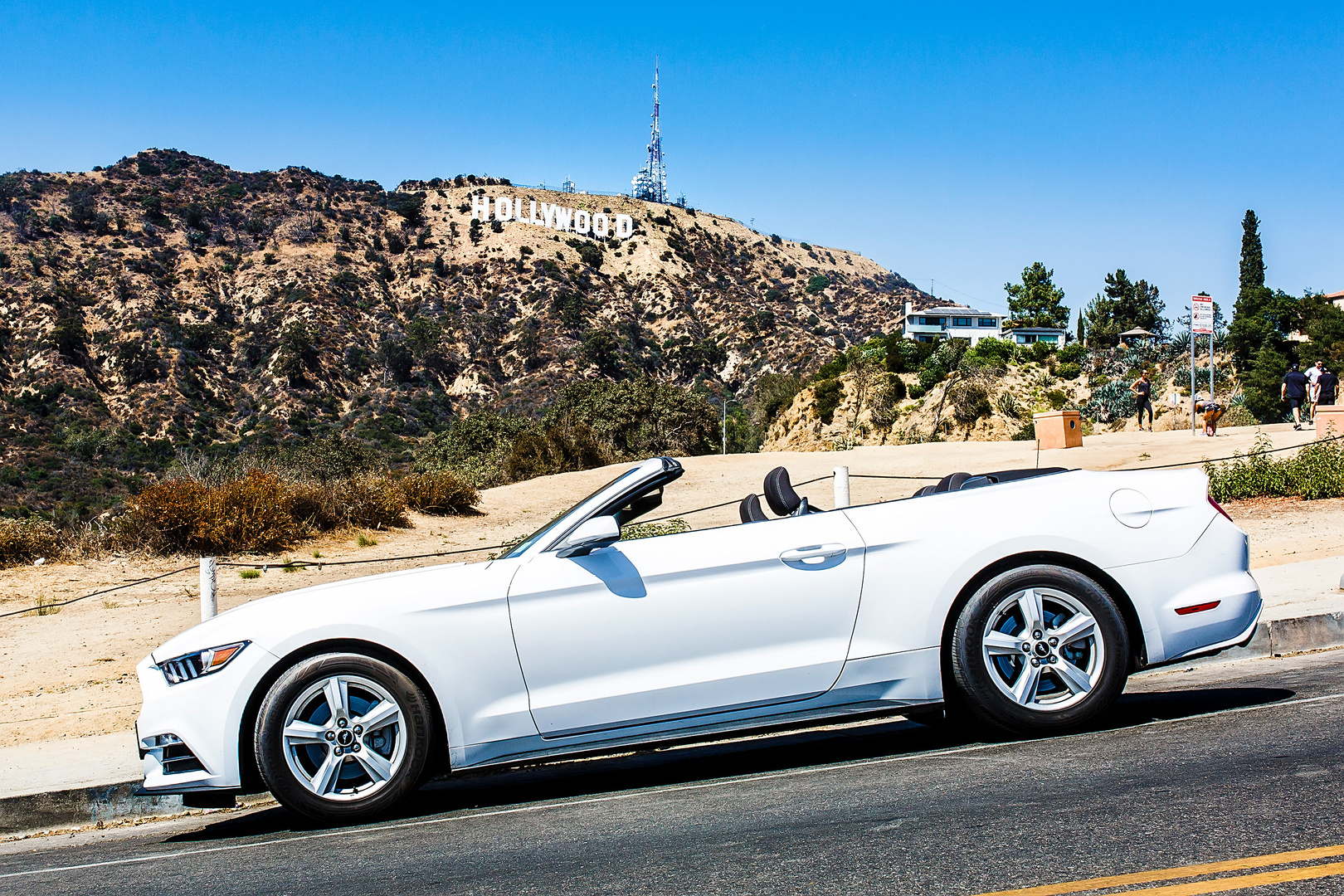 MUSTANG in HOLLYWOOD