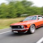 Mustang Mach 1