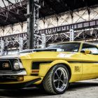 Mustang Mach 1 al festival dell'auto tuning