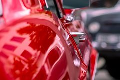 Mustang ohne Sally