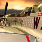 Mustang P-51