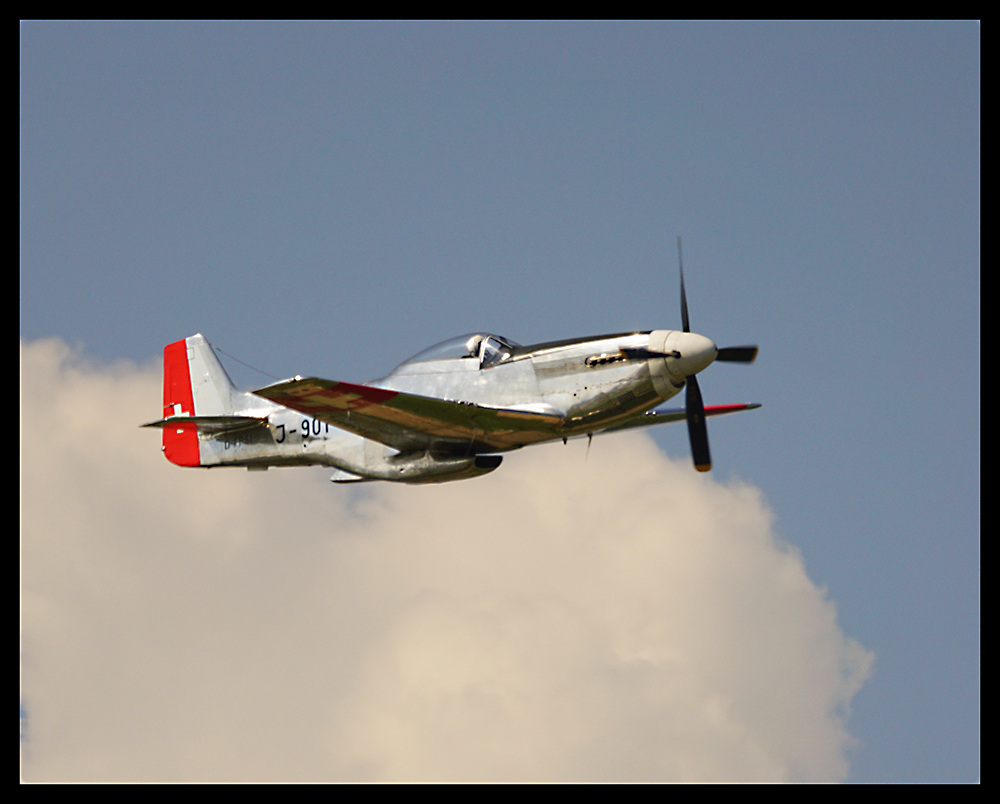 Mustang P 51