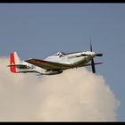 Mustang P 51