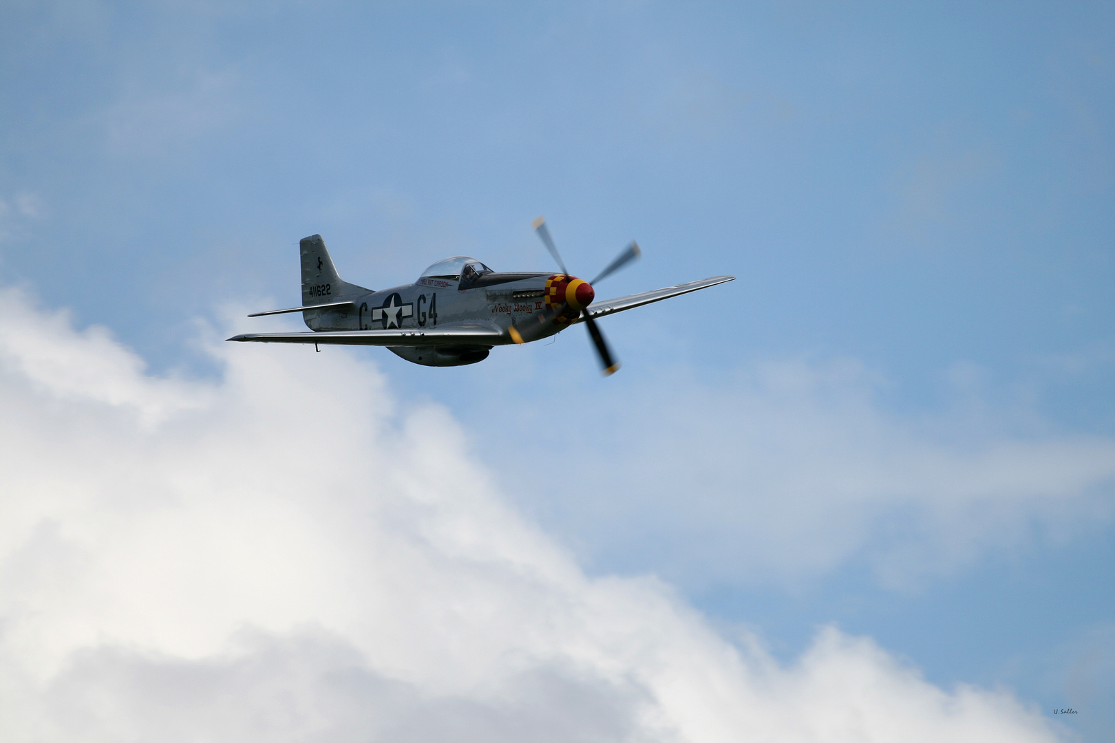 Mustang P-51