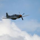 Mustang P-51