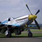 Mustang P-51 D Louisiana Kid