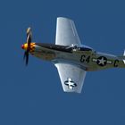 Mustang P-51 über Kestenholz