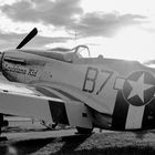 Mustang P-51D