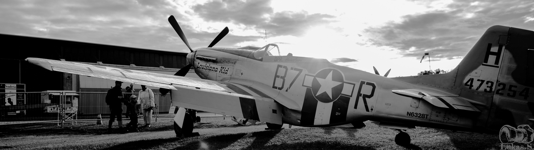 Mustang P-51D