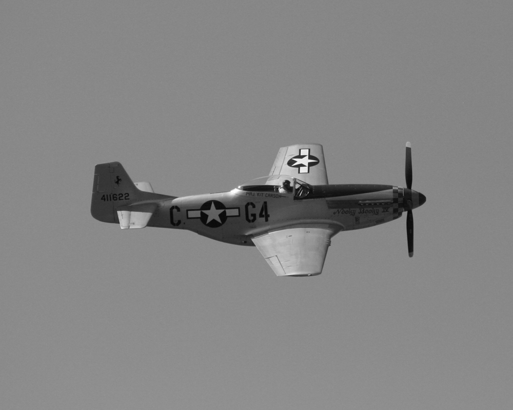 Mustang P51